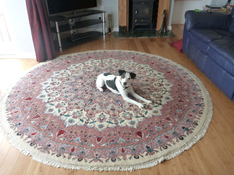 Our Rugs in Customers' Homes Pak Persian Rugs, AU